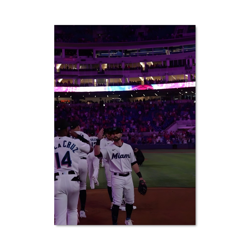 Poster Marlins en Action